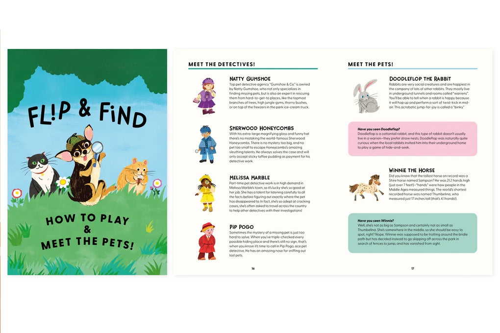 Flip and Find: Pet Detectives