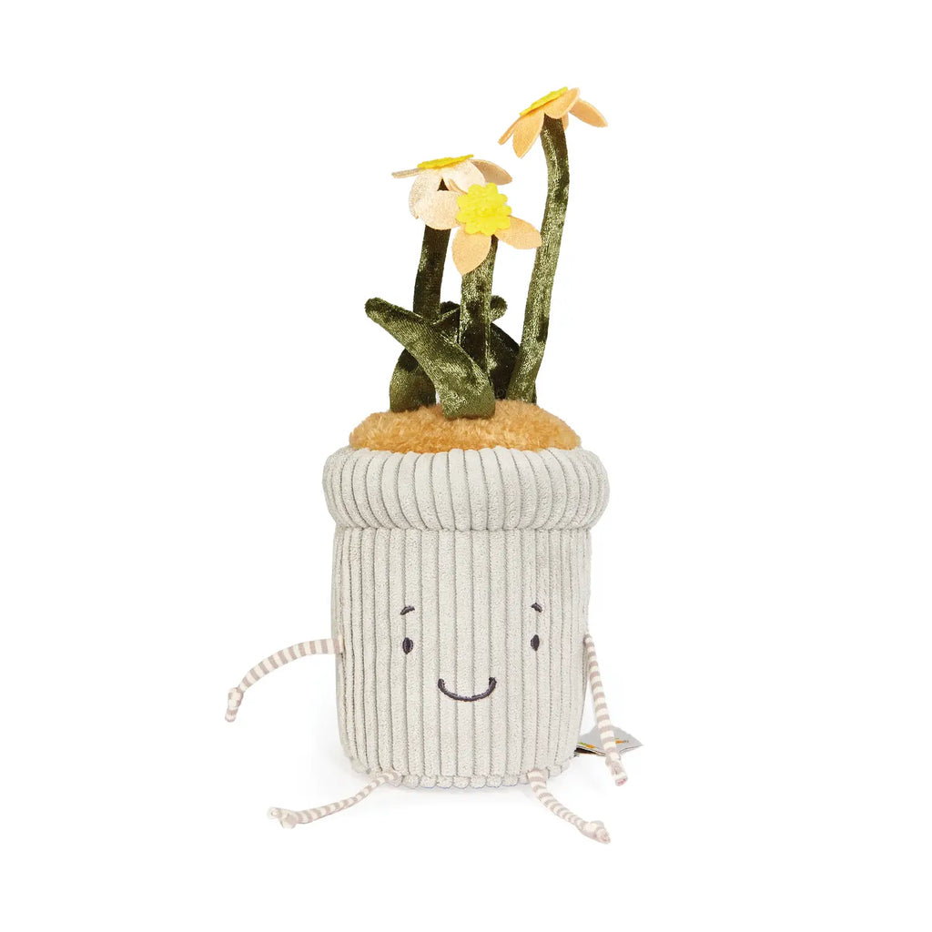 Window Silly Plant || Daffodil
