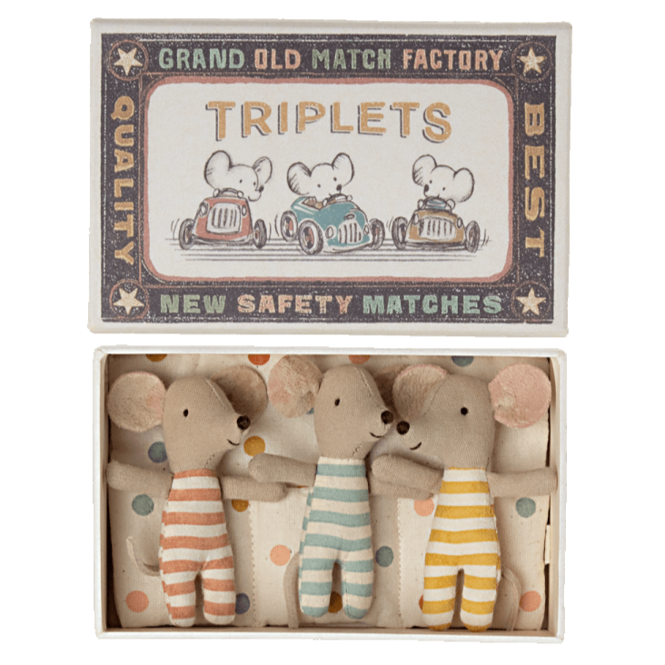 Triplets, Baby Mice in Matchbox