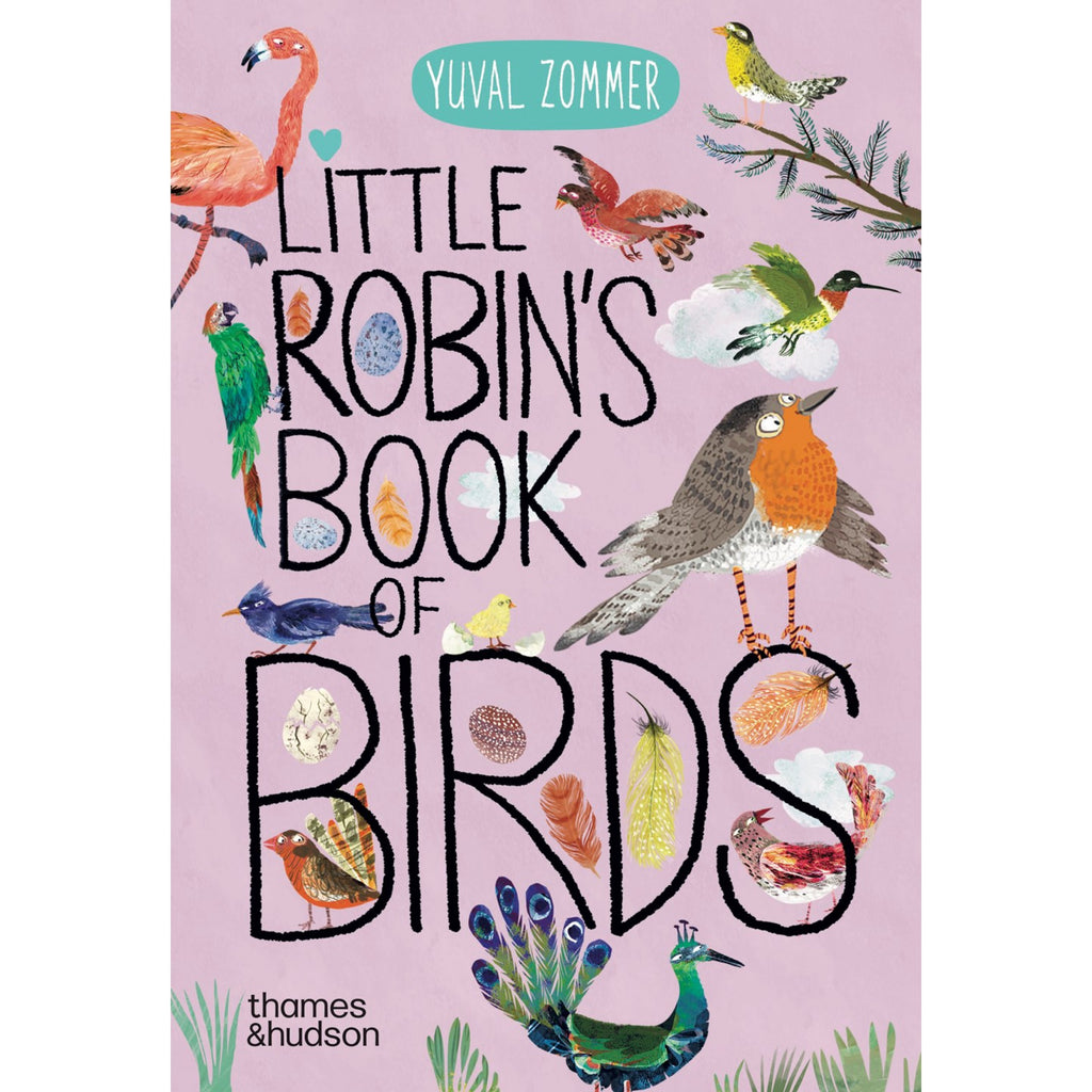 Little Robin's Book of Birds