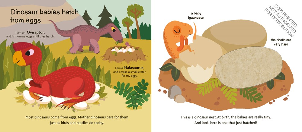 Touch and Explore: Dinosaurs