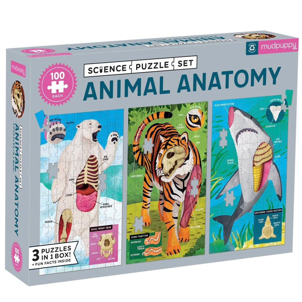 Animal Anatomy Science Puzzle