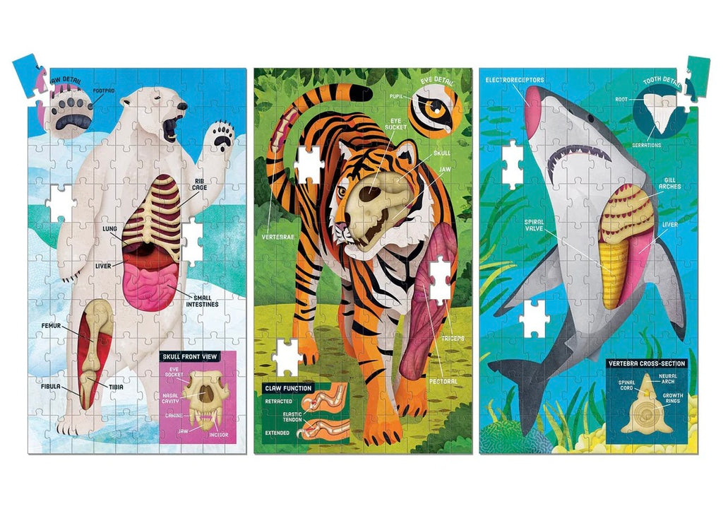 Animal Anatomy Science Puzzle