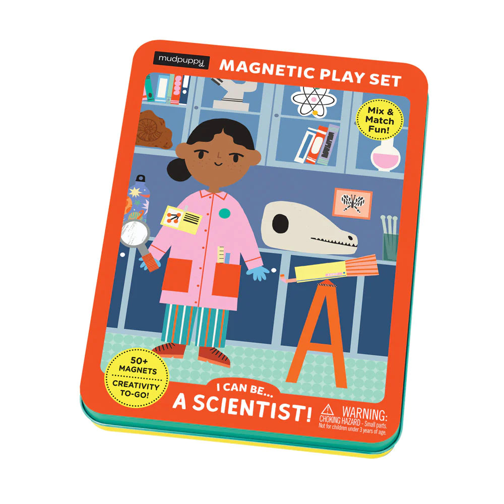 Magnetic Play Set || Scientist