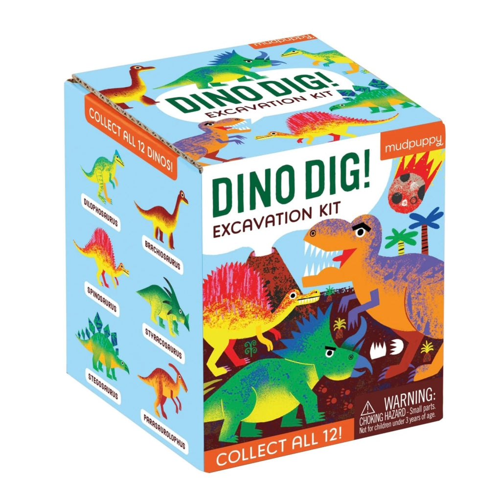 Dino Dig Excavation Kit